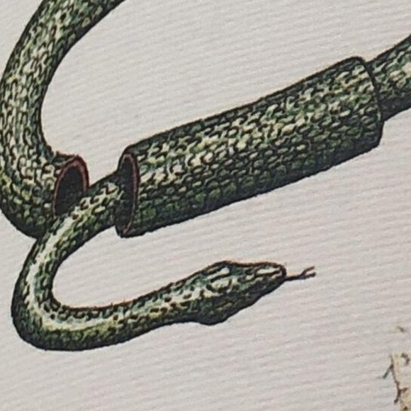 Luigi Serafini Codex Seraphinianus 13" x 9" No. 86 - Picture 6 of 8